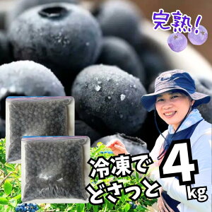 pӏo攭łyzHׂĉIЂ݂䂫_@Y Ⓚu[x[@͔|Ԓ_sgp@ǂ4kgWbp[tܓ@n\oYt[Yu[