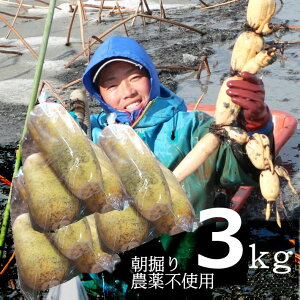 ȂāAR̂G߂łIy3܃Zbgz͔|ԒA_sgpEw엿sgp@񂱂  @ [񂱂 p LTCY@3kgi1kg /3