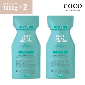 ＼ポイント増量中／ モルトベーネ クレイエステシャンプー EX 1000ml×2本【 2本セット】ヘアシャンプー ヘアケア モルトベーネ まとめ買い 詰め替え レフィル 詰替え用 セット 送料無料 MoltoBene ClayEsthe シャンプー 美容室専売