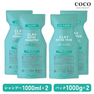 _|Cgʒ^ gx[l NCGXe Vv[EX 1000ml×2{ + pbNEX 1000g×2{y 4{Zbg z gx[l ܂Ƃߔ lߑւ tB lւp Zbg  MoltoBene ClayE