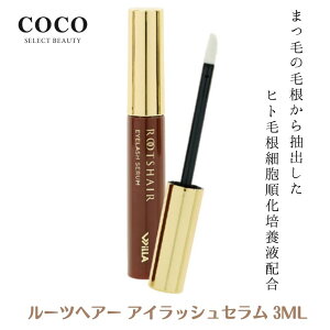 _|Cgʒ^ ܂єet [cwA[ ACbVZ 3ml ܂ et qgэזE|{tz Y { Ki זE Y т̃vJ ܂тێ n 