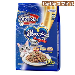 y25NČzj`[ ̃Xv[ ґfރoGeB ĒÎY܂߃pE_[d 1D1kgLp h{H jE`[