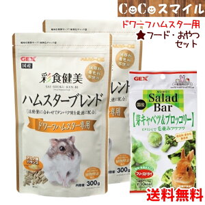 yZbg̔zWFbNX GEX ʐH nX^[uh h[tnX^[p 300g×2 & T_o[ Lxc&ubR[ 8g×1 / p nX^[ t[h  