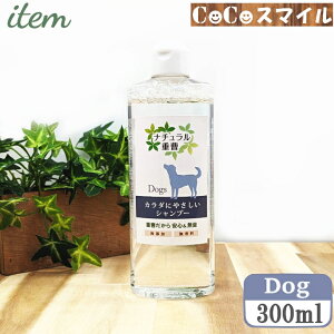 y K戵Xzi`d J_ɂ₳Vv[ p 300mlbACe