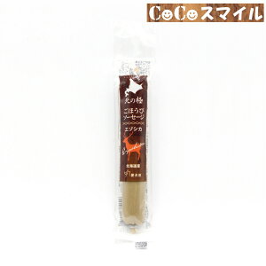 yz k̋ قу\[Z[W G]VJ 40g p  t@Cc[