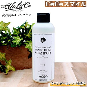 yzyK̔XzA[AhV[ i`GCWOPA mVRVv[ S11/200ml pELp PApi