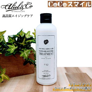 yzyK̔XzA[AhV[ i`GCWOPA mVRg[gg T12/250ml pELp PApi