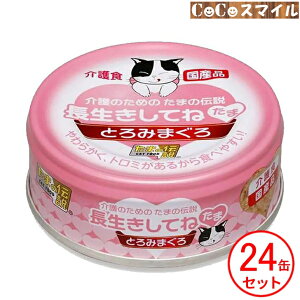 y 24ZbgzSTIT[ Ă  ̂߂̂܂̓` Ƃ݂܂ 70g y×24ʁz Lp H