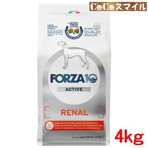yzFORZA10 i[ ANeBu ~fBAij4kg p h{HitPAj