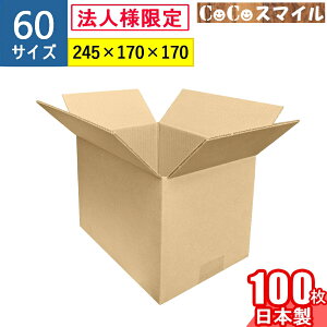 y@lz_{[ i{[ 60TCY 100 Zbg (245x170x170)@ ʔ̗p 