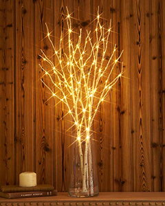 Hairui  100LED } 80cm C~l[V dr ԐڏƖ u`c[ XgOCg IV k ^C}[@\ h (ԕr܂܂Ȃ)