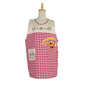 Ap} TCh{^ ԂGv A02920-43 bh