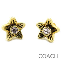 楽天市場】COACH（モチーフ花）（ピアス｜レディースジュエリー 