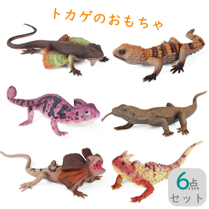 楽天市場】トカゲのおもちゃ 蜥蜴 6点セット ハロウィン ダミー  