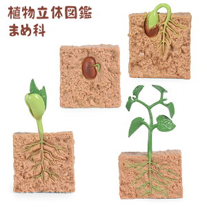 A̐} tBMA  4Zbg Ǎ  wKp  TCGX mߋ w ct 炨 q wKߋ ۈ珊Eٗpi z͈炿 LbY j̎q 