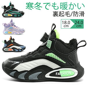 qC Xj[J[ N ~C j̎q ̎q fB[X C AEghA EC^[V[Y h ۉ  {Au[c Xm[u[c ʊw  v[g ~p ʋ LbY