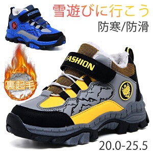 Xj[J[ N qC h ۉ  {Au[c C AEghA EC^[V[Y ~C j̎q ̎q fB[X 20-25.5cm ~p ʋ LbYC ȌC Xm[u[c ʊw 