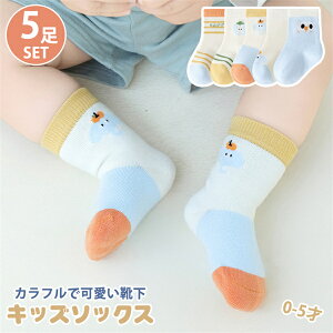 xr[ C 5Zbg ct ʉ Aw ̎q j̎q LbY  XgCu 5g 0-5 q ʊw t H \bNX  Rbg LkQ a LbYp _炩 킢 