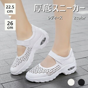 i[XV[Y ɂ 2color Xj[J[ fB[X V[Y y V[Y Xj[J[ jOV[Y Xb| fB[XEI[LOV[Y Ōt }}V[Y