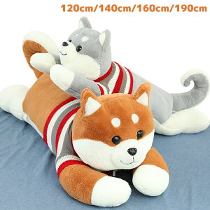    ܂  q LbY ߋ 킢 hbO Č ԓpCeA a 傫 NbV  Dw j Q ӂӂ G Q  lC 