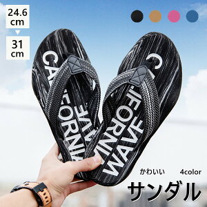 r[`T_ Y  4color  gOT_ ɂȂ 킢 ₷  y r[T t@bV V[T_ x_T_  XbpT