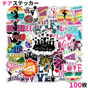 100Zbg `A[fBO XebJ[ `A ʔ V[ X}z d bsOp ] 蒠  a YB LO  M^[ zr[ X[cP[X wbg 킢