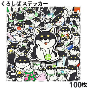 XebJ[ 100Zbg Č   X[cP[X X}z  M^[ LYB V[  bsOp ] a oCN FȂ  蒠 h wbg J[ l