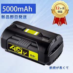 �y1015�~OFF&P5�{�z�V�i RYOBI OP4040 �݊��o�b�e���[�y5000mAh 40V�z�Ή��p �����\ PSE�F�� �o�b�e���[ YKF 2025KF-XIJP