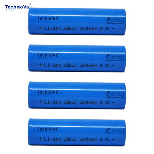 �y���I�őS�z�Ҍ��I�z�y10�{�|�C���g�zStraight Plug �o�b�e���[ ��e�� �ϋv�� ���S�� �\�� RC �d�� PSE�K�� 2026HQ-XIJPIAH