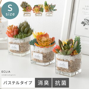 フェイクグリーン ミニ 卓上 観葉植物 人工観葉植物 人工植物 人工 植物 消臭 抗菌 水やり不要 グリーン 緑 お手入れ不要 アンティーク 枯れない おしゃれ かわいい CT触媒 ナチュラル 北欧