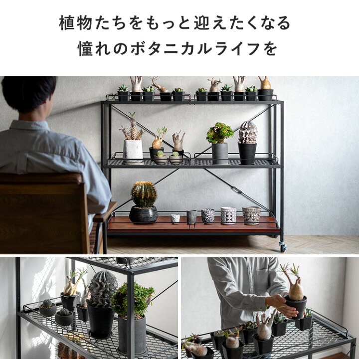 楽天市場】棚 ラック スチールラック オープンラック シェルフ 収納棚 