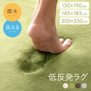 【2日間限定！P3倍】 ラグ カーペット ラグマット おしゃれ 洗える マイクロファイバー フランネル 正方形 長方形 2畳 リビングラグ センターラグ 絨毯 じゅうたん 厚手 洗えるラグ 北欧 モダン シンプル ウォッシャブル 滑り止め 低反発撥水ラグ