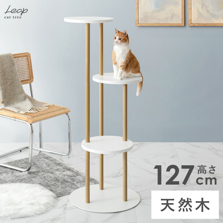 楽天市場】キャットタワー 木製 大型猫 おしゃれ 据え置き 猫 キャット 