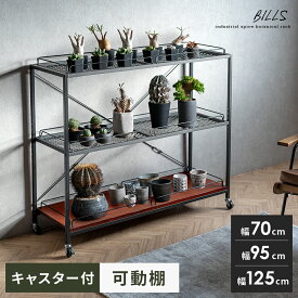 【7/15まで！最大15％OFFクーポン配布中】 棚 ラック スチールラック オープンラック シェルフ 収納棚 ディスプレイラック おしゃれ オープンシェルフ インダストリアル 観葉植物 収納棚 植物ラック プランターラック ボタニカルラック ボタニカルシェルフ