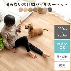 パイルカーペット パイル フローリング調 ウッド調 木目 ペット用 ペットマット 犬 猫 犬用マット カーペット 洗える おしゃれ かわいい 北欧 ヴィンテージ ナチュラル モダン アンティーク フロアマット 防水 抗菌 滑らないフローリング調パイルカーペット 200×250cm