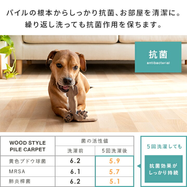 楽天市場】【5％OFFクーポン配布中】 パイルカーペット パイル 