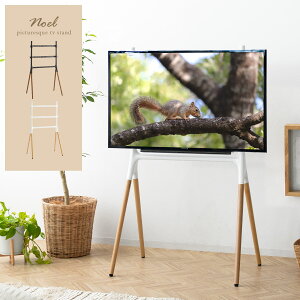 y24ԌIP3{z er erbN erX^h TV{[h er{[h TVbN ő55^Ή  ؖ ؐ VR X`[  ^ 55C` 50C` TV X^h 