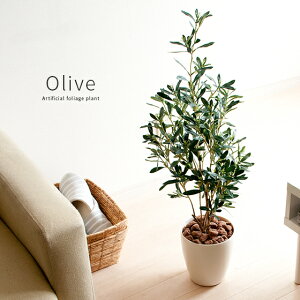人気 光触媒 人工観葉植物 観葉植物の人気商品 通販 価格比較 価格 Com