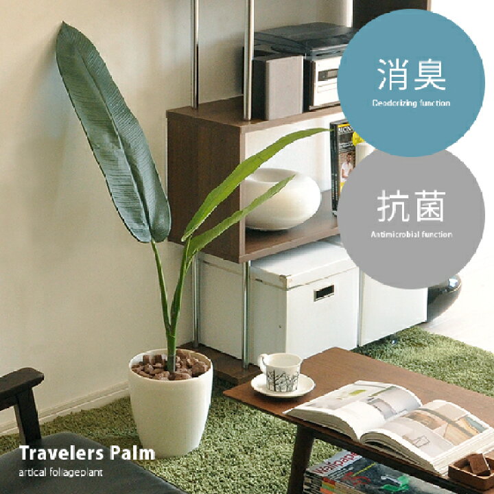 楽天市場 観葉植物 光触媒 インテリア 造花 人気 かわいい おしゃれ おすすめ 消臭 防菌 光触媒人工植物 トラベラーズパーム 旅人の木 グリーン インテリア 生活雑貨 模様替え 部屋 引っ越し祝い 贈り物 新築祝い プレゼント 通販 楽天 インテリアショップ ココテリア