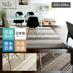 y28ԌISi10OFFN[|zzz _CjOO { J[ybg  R O}bg k _  ͂ g[Ή 220×250cm ` zbgJ[ybgΉ 炮 I