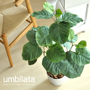 ϗtA G} CeA  lC 킢  E׃[^ ɐG}}ƃO[̖ G}lHA E׃[^ L h(CeA G  zj 