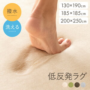 ラグ カーペット ラグマット おしゃれ 洗える マイクロファイバー フランネル 正方形 長方形 2畳 リビングラグ センターラグ 絨毯 じゅうたん 厚手 洗えるラグ 北欧 モダン シンプル ウォッ