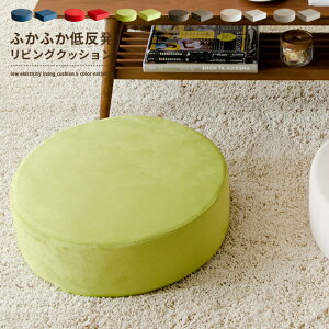 y48ԌISi10OFFN[|zzz NbV zc ᔽ  傫 k ~` ی^ U[ ֎q CX tANbV   rOzc ᔽNbV 