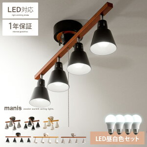 y2ԌIP10{z V[OCg  y_gCg LED Ή X|bgCg 킢 k 4 VƖ _ Vv rO ԐڏƖ JtF 6p 8p rO