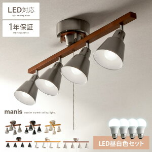 y2ԌIP10{z V[OCg  y_gCg LED Ή X|bgCg 킢 k 4 VƖ _ Vv rO ԐڏƖ JtF 6p 8p rO