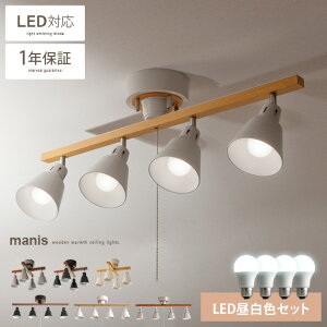 V[OCg  y_gCg LED Ή X|bgCg 킢 k 4 VƖ _ Vv rO ԐڏƖ JtF 6p 8p rOCg Cg Hp 