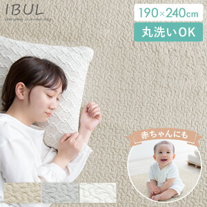 Cu O Cu}bg xr[}bg }bg O}bg 􂦂 ې  ؍ CeA 100 Ԃ xr[ \t@Jo[ xbhJo[ G̗ǂ @ rO k