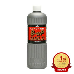 KYK(�É͖�i�H��) �o�b�e���[��[�t B-UP GOLD300 300ml 00-303
