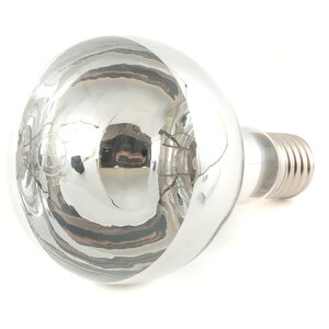 V V֋110V 300W 4984339600543 dH ƁExEhƓ