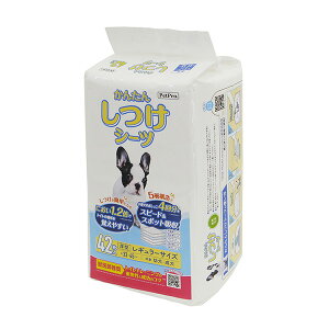 ybgvWp ybgv񂽂񂵂V[cM[ 42 4981528721218 L qpi V[c |}[V[c